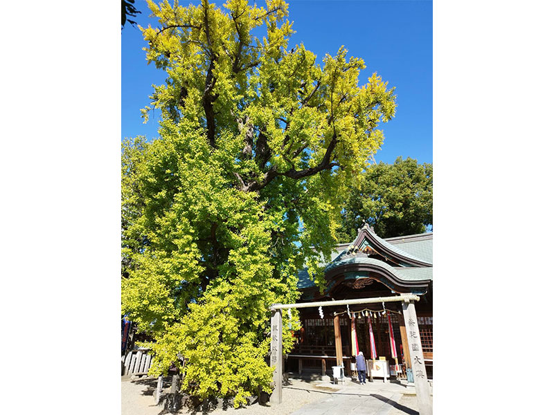 59_白山神社
