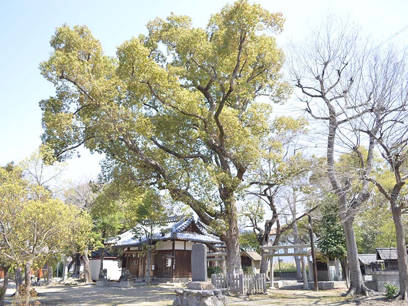 竹渕神社